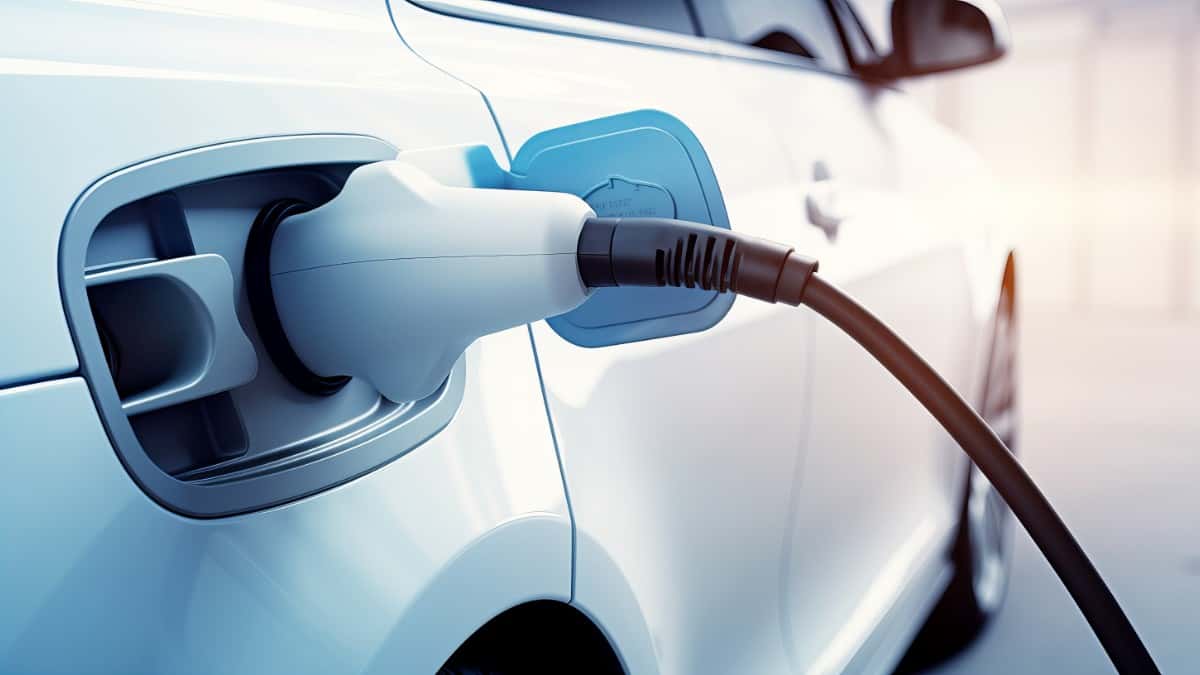 🔋 軽EVはコスパ最強?サクラ・RACCOなど注目の軽自動車EVを徹底比較