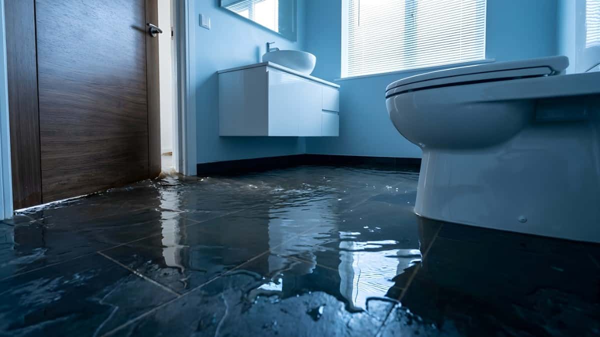 火災保険の水災補償、本当に必要?加入率と落とし穴を徹底解説🌊