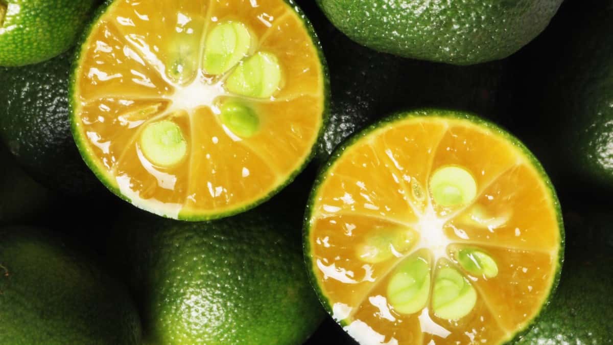 セブンのカラマンシースムージーはどんな味? 発売日・価格・特徴を徹底解説