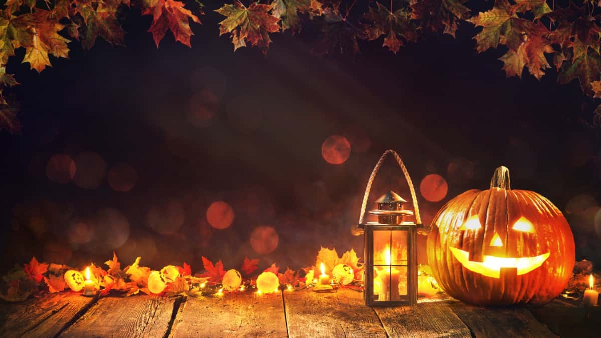 ハロウィン2026をおうちで楽しむ!簡単仮装&飾りつけアイデア集🎃