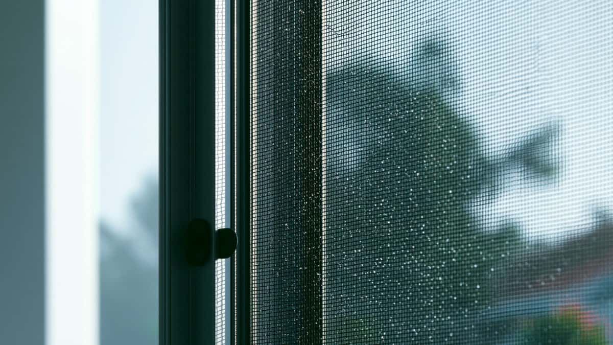 網戸の破れ・たわみは自分で直せる?DIYと業者依頼の見極め方 🔧