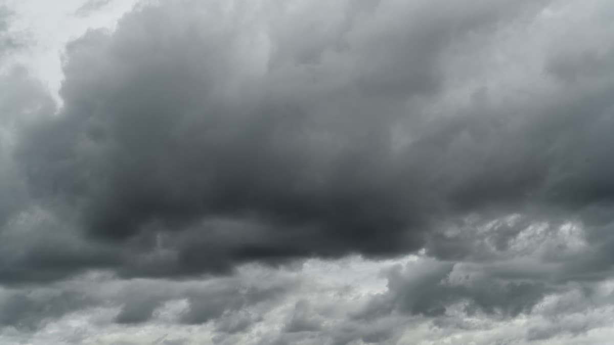 🌀 台風26号は今日どうなる? 関東への影響と大雨・交通情報をチェック