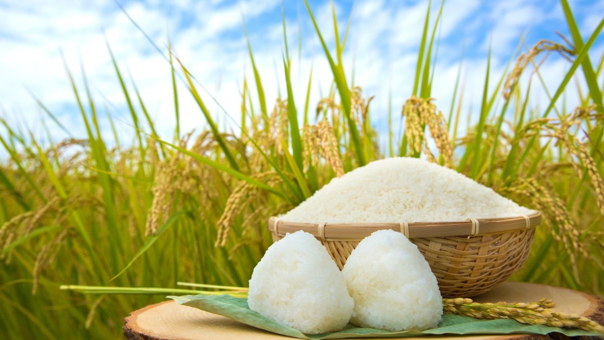 🍚 2026年秋の味覚グルメ旅はどこへ行く? 新米・栗・ぶどうを楽しめる穴場30選