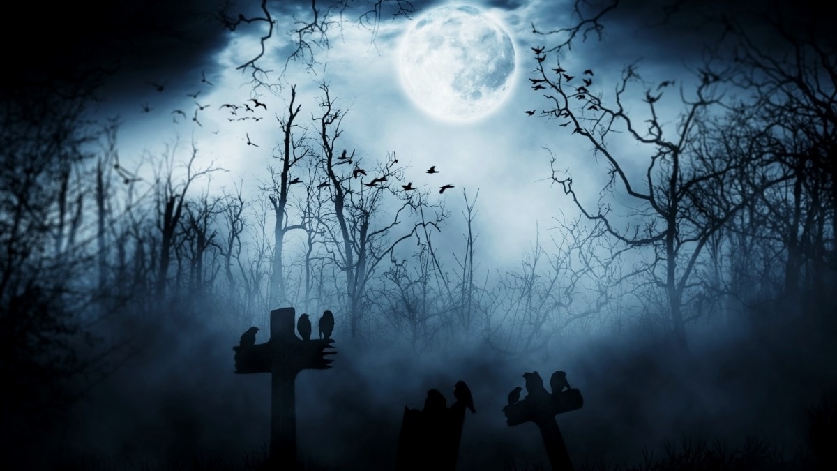 🎃 ハロウィン2026はいつから? 10月に楽しめる親子向けイベントまとめ