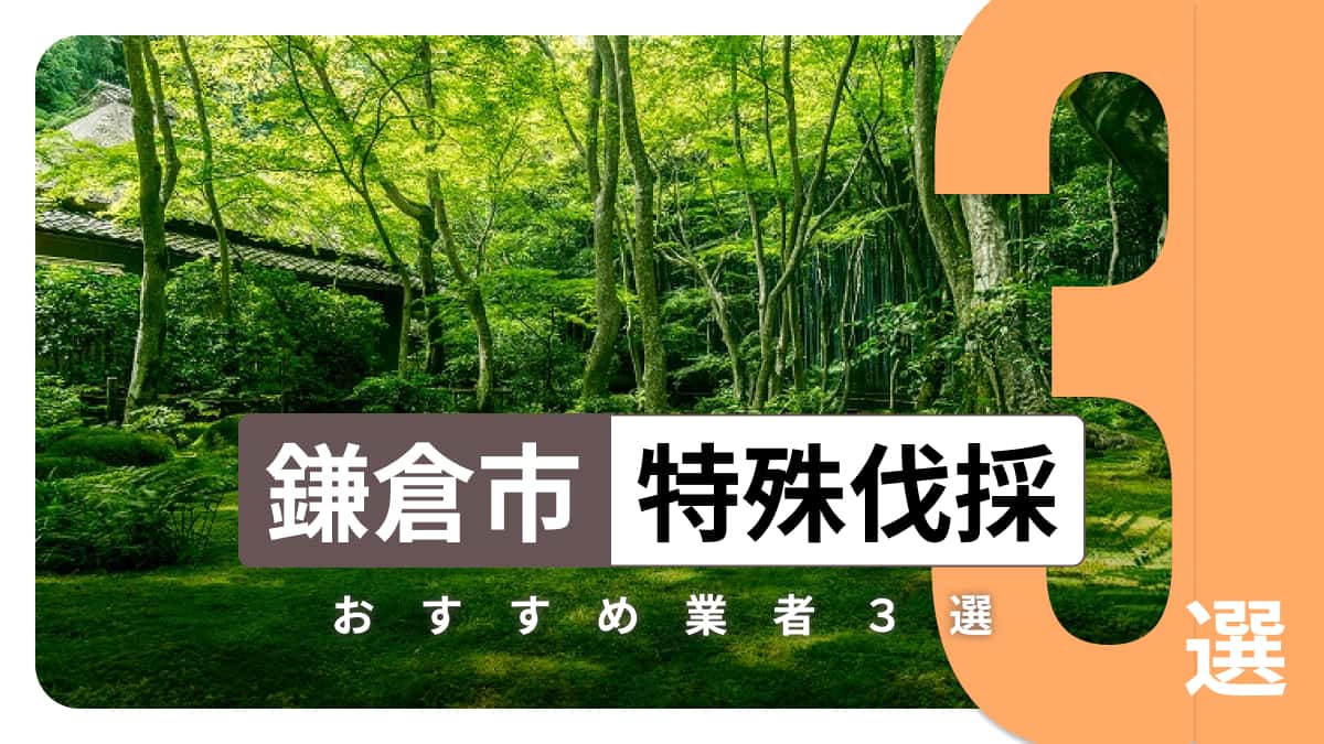 鎌倉市でおすすめの特殊伐採業者3選