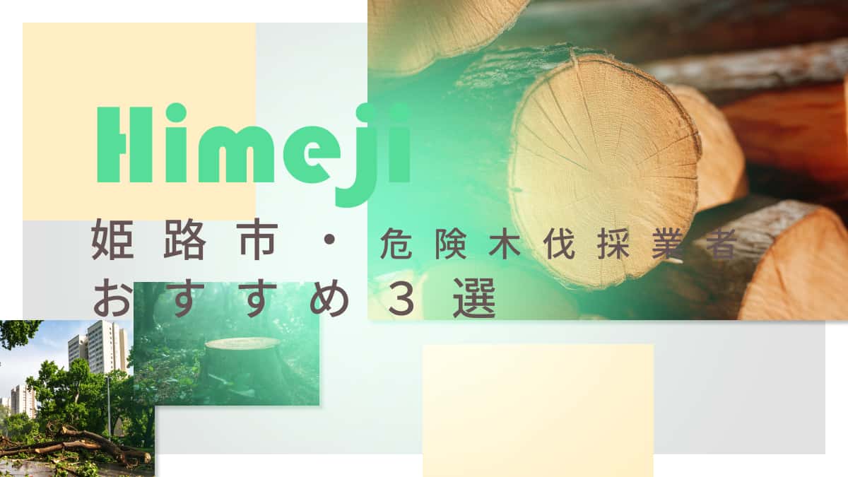 姫路市でおすすめの危険木伐採業者3選