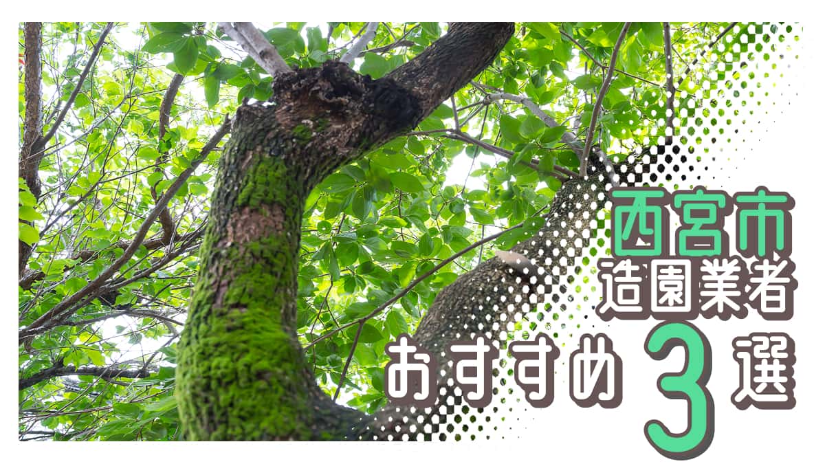 西宮市でおすすめの造園業者3選
